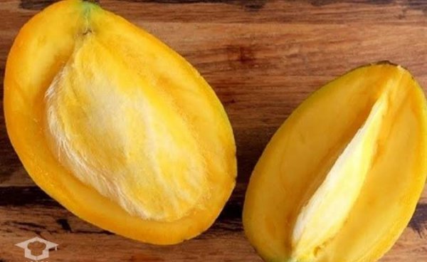 عکس میوه گرمسیری انبه با کیفیت بالا
