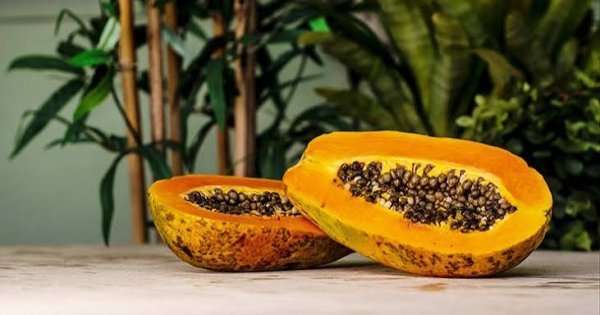  عکس میوه گرمسیری انبه با کیفیت بالا
