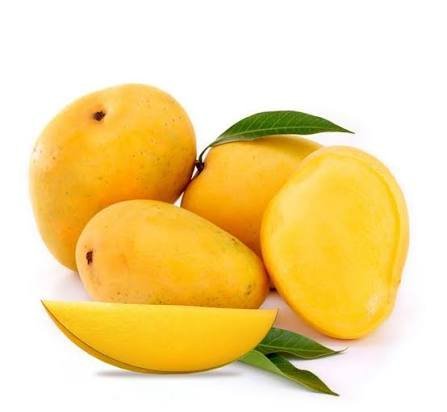  عکس میوه گرمسیری انبه با کیفیت بالا