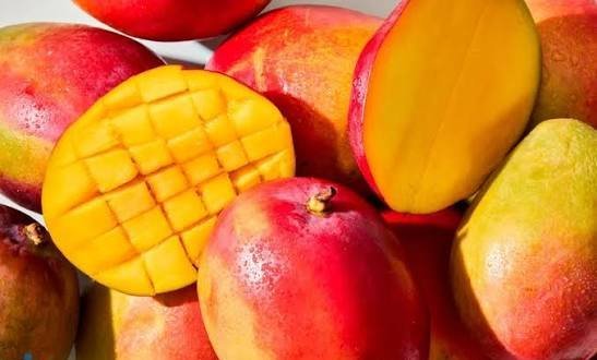  عکس میوه گرمسیری انبه با کیفیت بالا