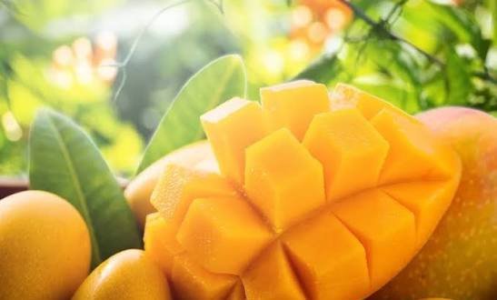  عکس میوه گرمسیری انبه با کیفیت بالا