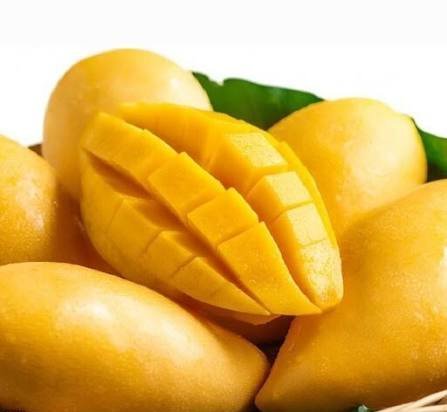 عکس میوه گرمسیری انبه با کیفیت بالا