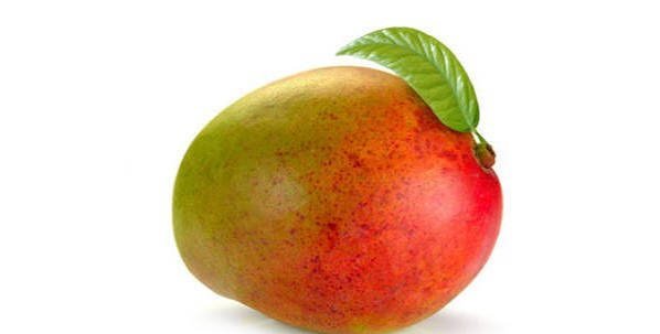  عکس میوه گرمسیری انبه با کیفیت بالا