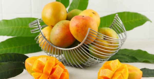  عکس میوه گرمسیری انبه با کیفیت بالا