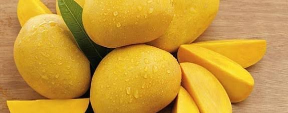  عکس میوه گرمسیری انبه با کیفیت بالا
