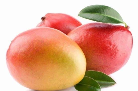  عکس میوه گرمسیری انبه با کیفیت بالا