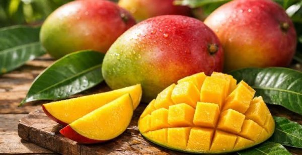  عکس میوه گرمسیری انبه با کیفیت بالا