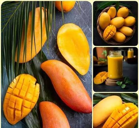 عکس میوه گرمسیری انبه با کیفیت بالا