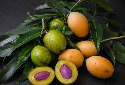  عکس میوه گرمسیری انبه با کیفیت بالا
