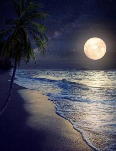  عکس پروفایل منظره شب