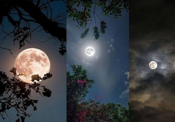  عکس پروفایل منظره شب