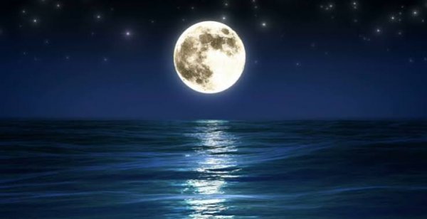  عکس پروفایل منظره شب
