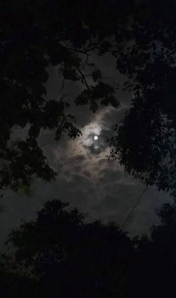  عکس پروفایل منظره شب