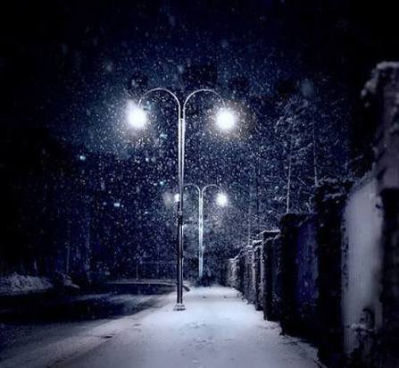  عکس پروفایل منظره شب