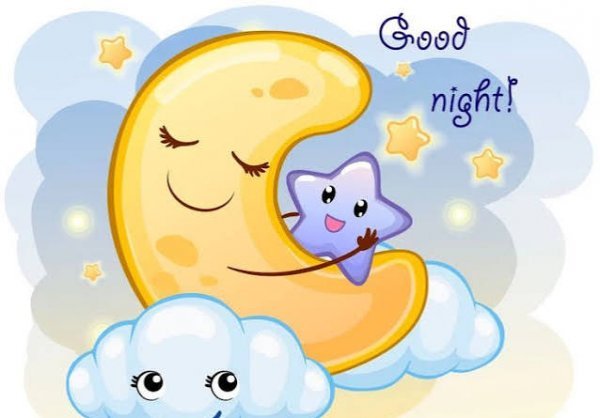  عکس شب کیوت