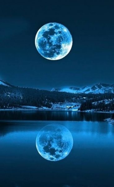  عکس شب کیوت
