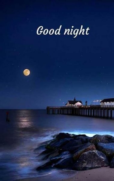  عکس شب کیوت