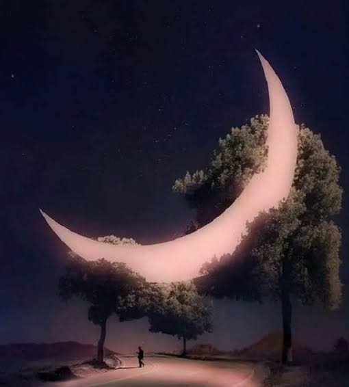  عکس شب کیوت