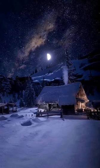  عکس شب مهتابی زیبا