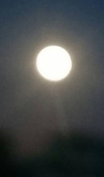  عکس شب مهتابی زیبا