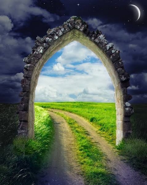  عکس شب مهتابی زیبا