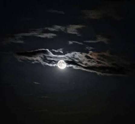  عکس شب مهتابی زیبا