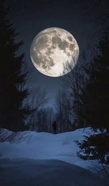  عکس شب مهتابی زیبا