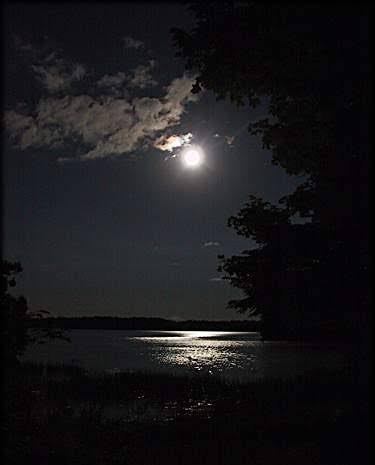  عکس شب مهتابی زیبا
