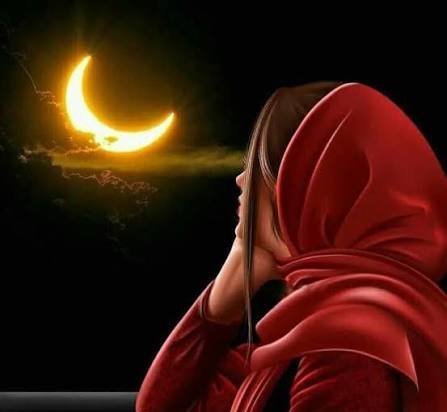  عکس شب مهتابی زیبا