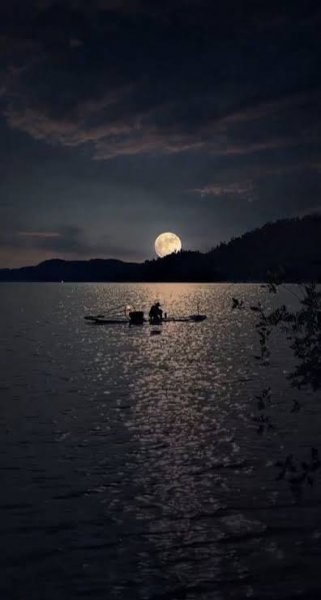  عکس شب مهتابی زیبا