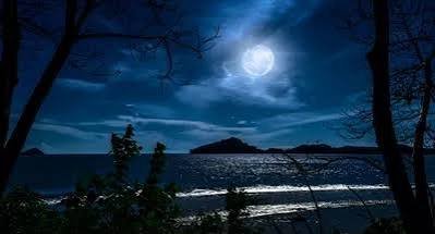  عکس شب مهتابی زیبا
