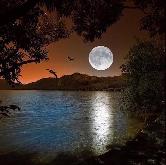  عکس مهتاب طبیعی