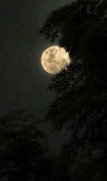  عکس مهتاب طبیعی