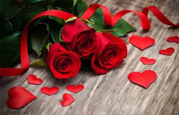  عکس رمانتیک گل رز