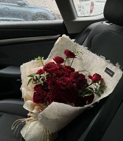  عکس رمانتیک گل رز