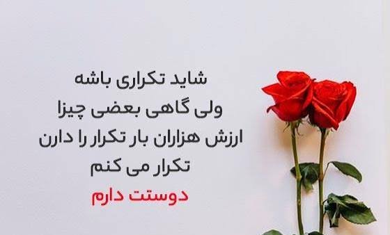  عکس رمانتیک گل رز