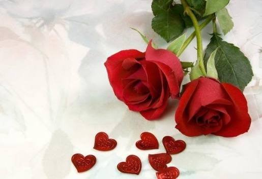  عکس رمانتیک گل رز