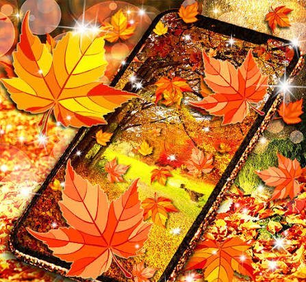  عکس تصویر زمینه درخت پاییزی با کیفیت خوب