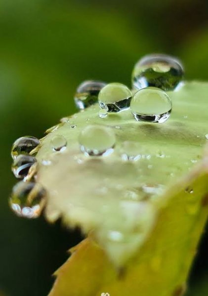  عکس قطره آب با کیفیت بالا