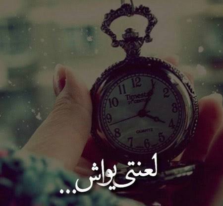  عکس پروفایل تلگرام با کیفیت خوب