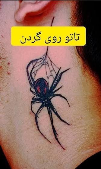  عکس تاتو مینیمال عنکبوت برای گردن