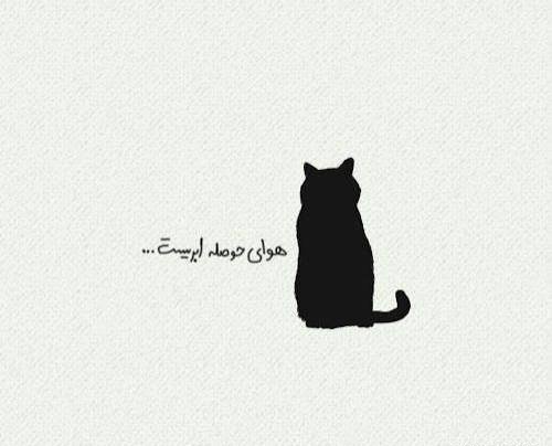  عکس گربه کارتونی غمگین