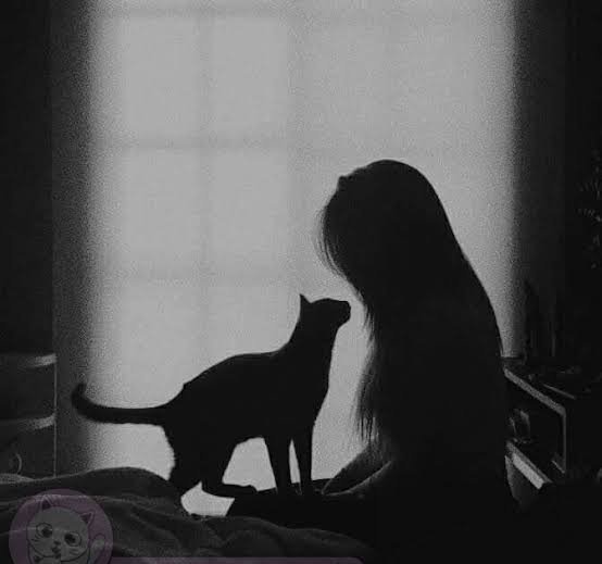  عکس گربه کارتونی غمگین
