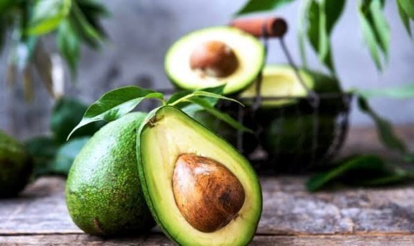  عکس میوه آووکادو