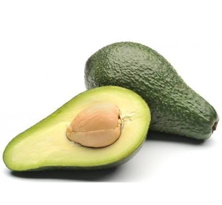  عکس میوه آووکادو