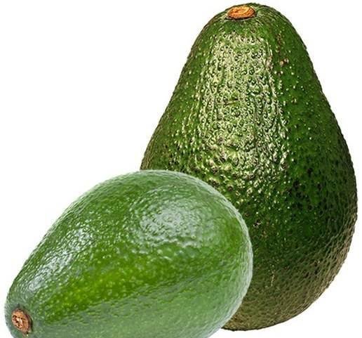  عکس میوه آووکادو