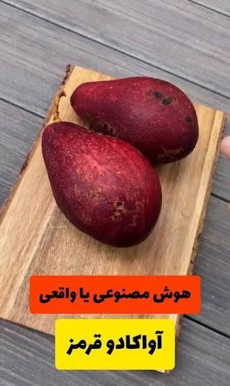  عکس آووکادو قرمز