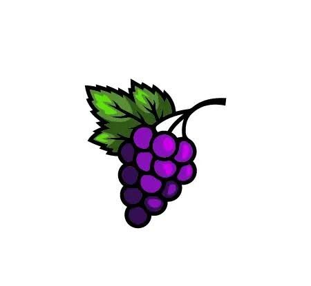  عکس انگور کیوت