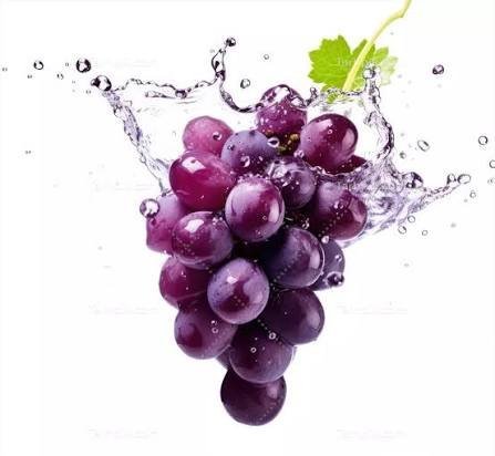 عکس انگور برای پروفایل