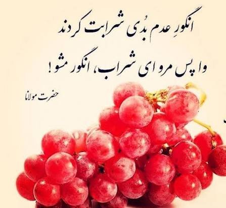  عکس انگور برای پروفایل